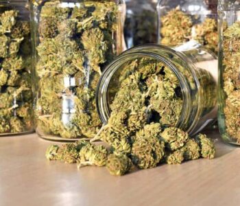 Gerichtsurteil sorgt für Aufregung: Cannabis auf Rezept führt zur Entziehung des Waffenscheins